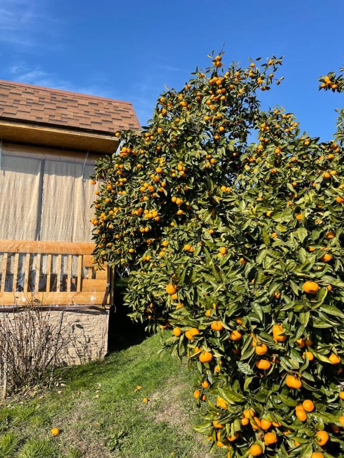 Holiday Home New Athos 外观 照片