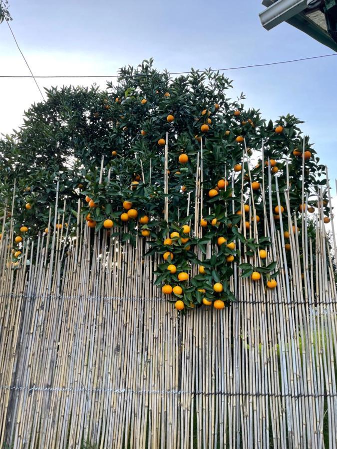 Holiday Home New Athos 外观 照片
